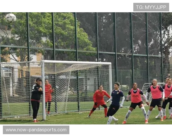 足球场上的风云人物 十大最具争议的球星引发热议