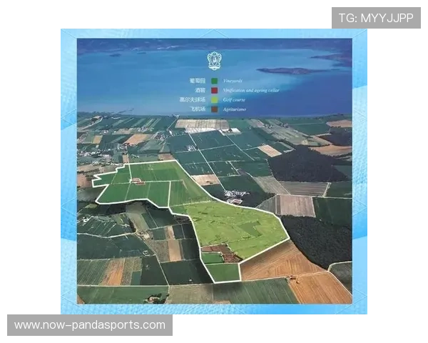 足球球星与红酒的完美融合品味之旅 品鉴明星们的独特酒庄传奇